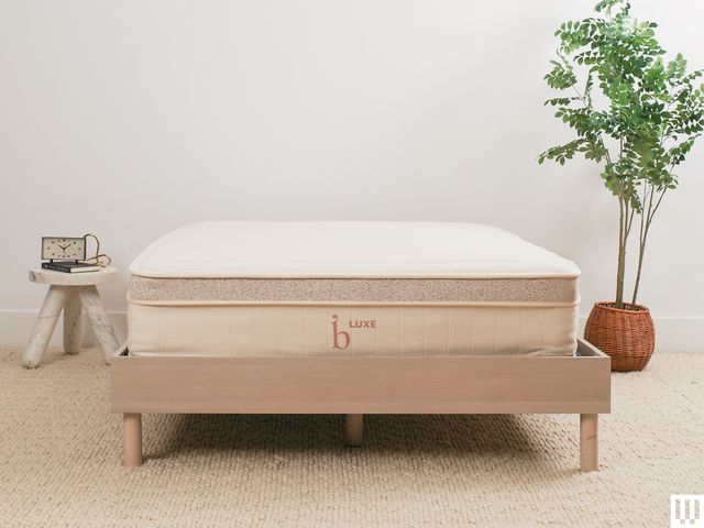 Birch Luxe Natural Mattress a white mattress with tan trim on a minimalist wooden frame with a nightstand and potted...