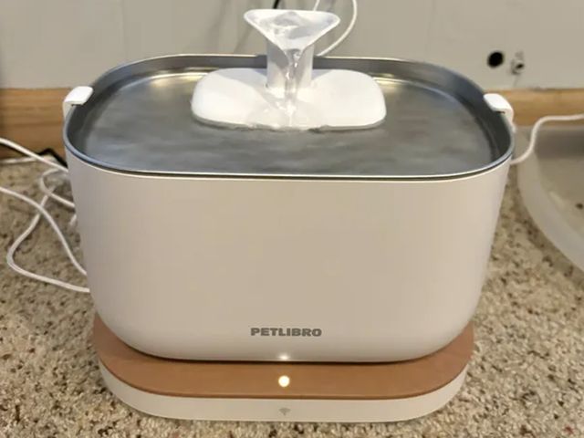 Image may contain Cooking Pot Cookware Food Pot and Cooking Pan