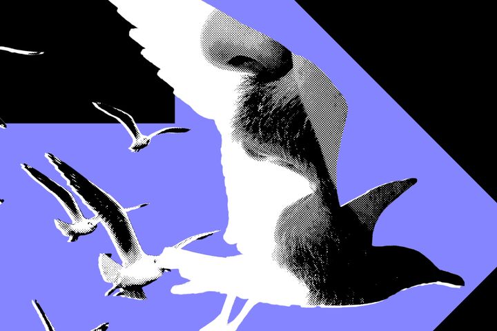 The Most Powerful Politics Influencers Barely Post About Politics