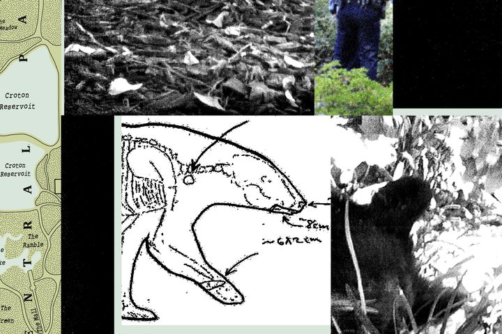 New Records Reveal the Mess RFK Jr. Left When He Dumped a Dead Bear in Central Park