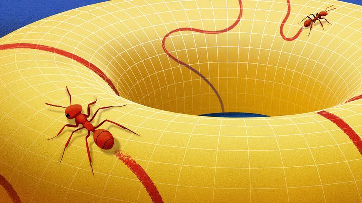 Behold the Manifold, the Concept that Changed How Mathematicians View Space