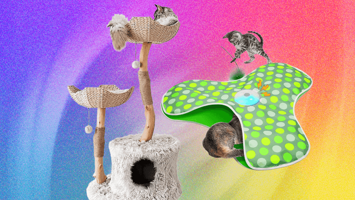 The Best Cat Toys for Your Furry Friend