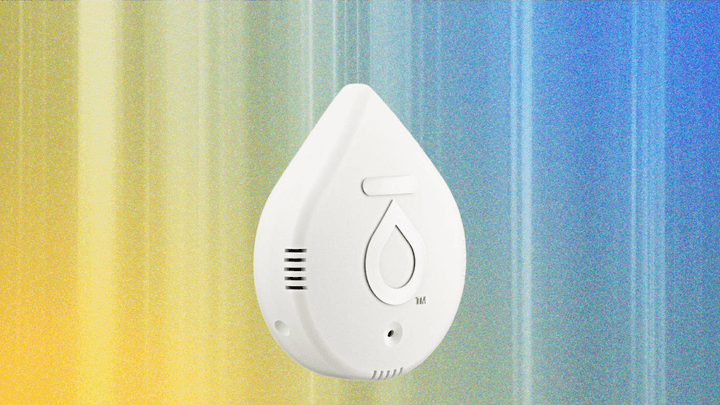 The Best Water Leak Detectors for Your Home